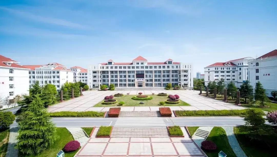 安徽发展探析，观点解析与展望