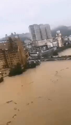 疫后湖北，绿色崛起的新篇章