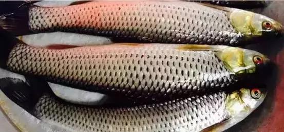 海南，热带天堂的绿色可持续发展征途