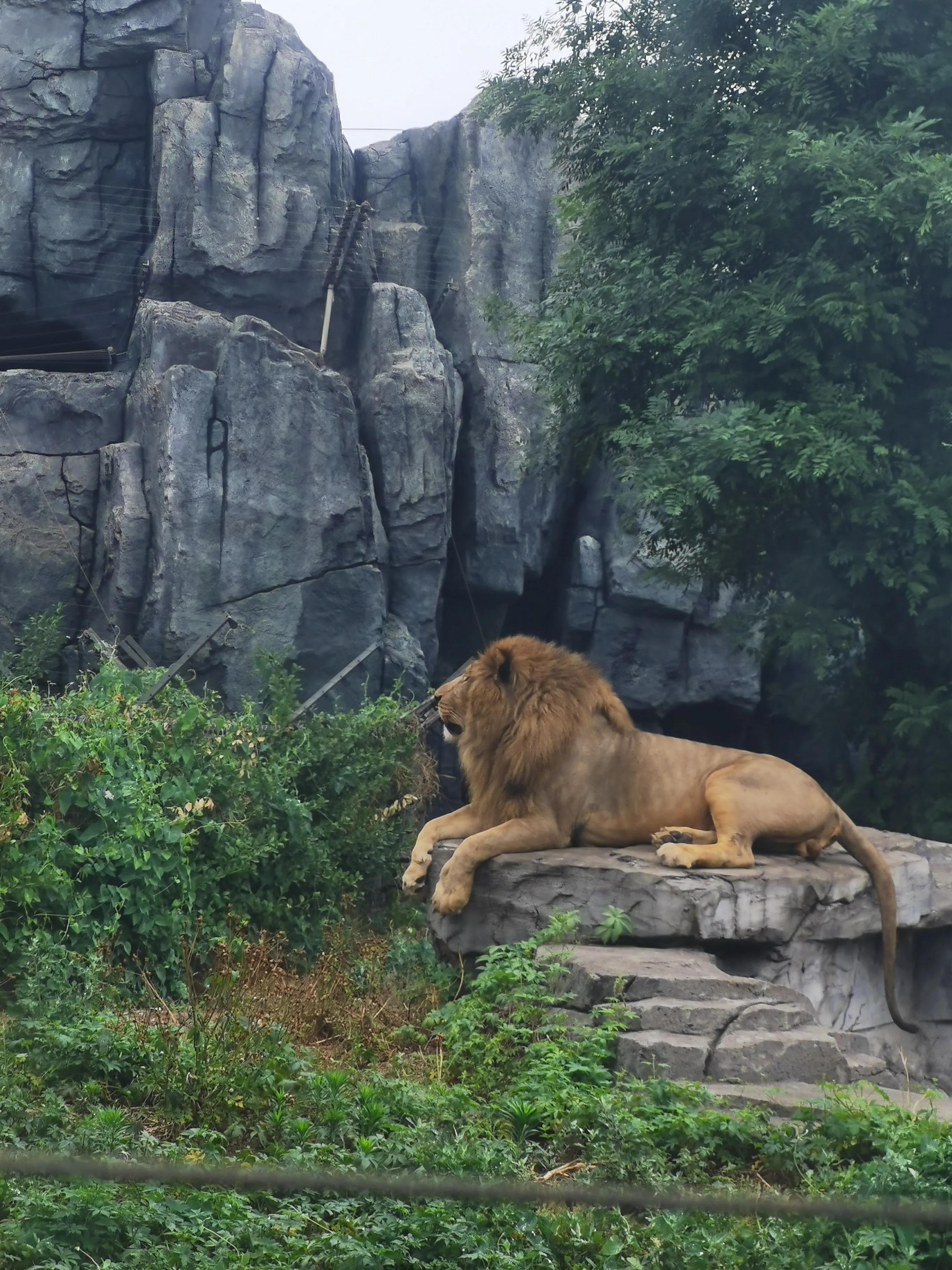 唐山,历史与现代交织的璀璨明珠